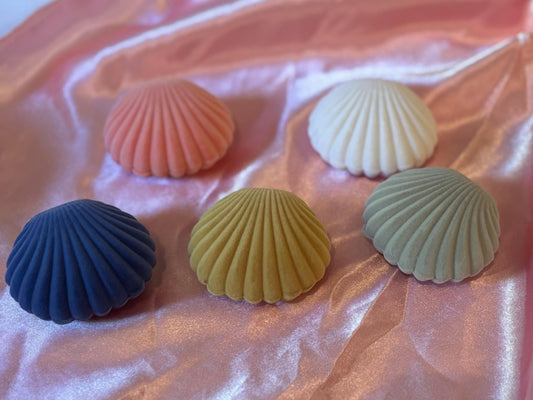 Velvet Shell Box - Shell Jewelry Box - Cute Gift Box - Gift Box for Necklace